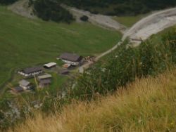 2013-09-08_6Falkenh-Steinfalk (330).JPG